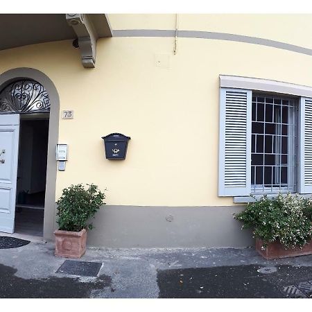 Oro Rosso Rooms Locazione Turistica Arezzo Eksteriør billede